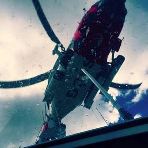 Meet your Posher, Bailey